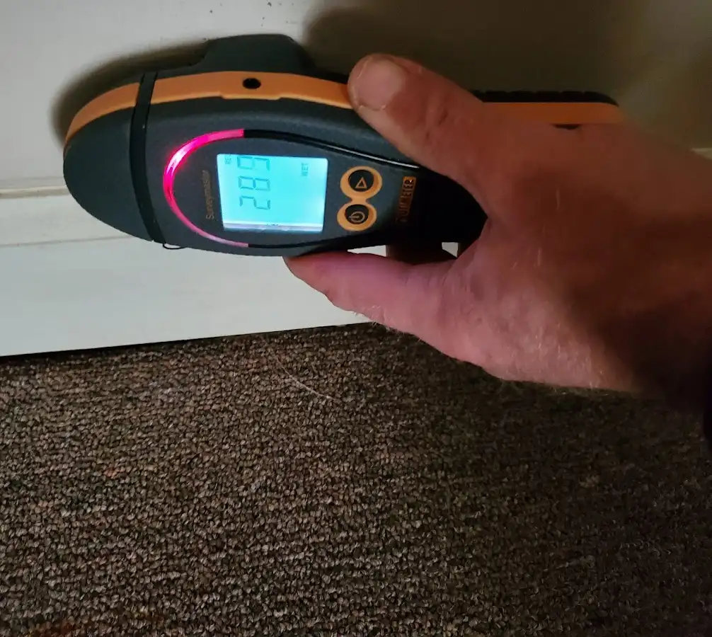 Moisture detection at baseboard during Mold Inspection & Testing in Seaside
